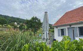 Panoramic Tranquility On Hill Of Vineyard